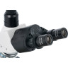 Микроскоп цифровой LEVENHUK D900T, 5,1 Мпикс, тринокулярный 75437