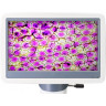 Микроскоп цифровой LEVENHUK D85L LCD, монокулярный 78902