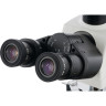 Цифровой тринокулярный микроскоп LEVENHUK MED D40T LCD 74007